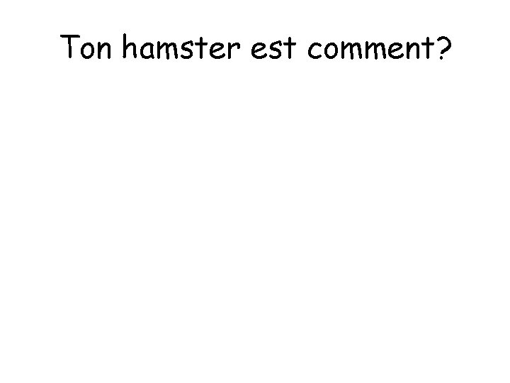 Ton hamster est comment? 