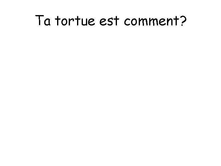 Ta tortue est comment? 