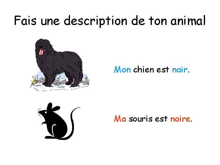 Fais une description de ton animal Mon chien est noir. Ma souris est noire.