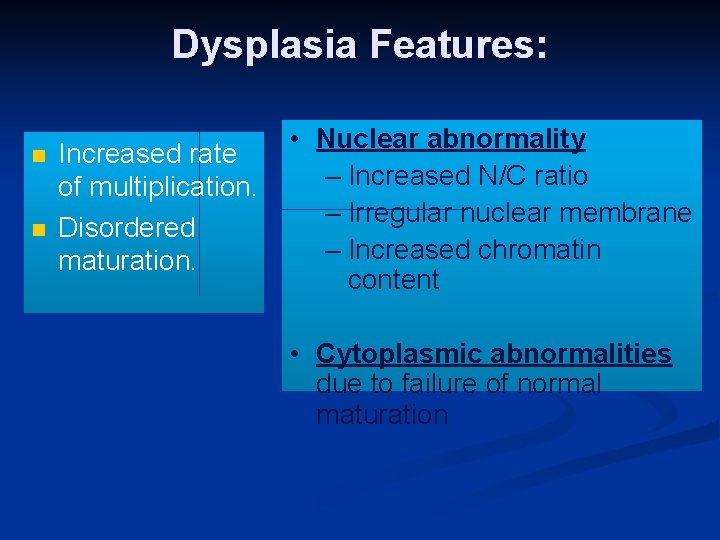 Dysplasia Features: n n Increased rate of multiplication. Disordered maturation. • Nuclear abnormality –