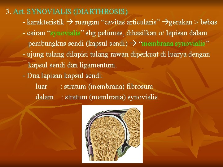 3. Art. SYNOVIALIS (DIARTHROSIS) - karakteristik ruangan “cavitas articularis” gerakan > bebas - cairan