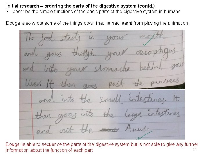 Initial research – ordering the parts of the digestive system (contd. ) • describe