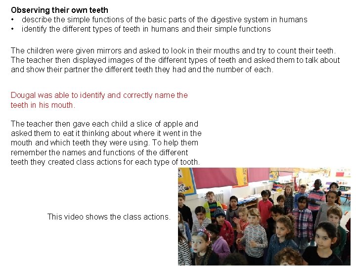 Observing their own teeth • describe the simple functions of the basic parts of