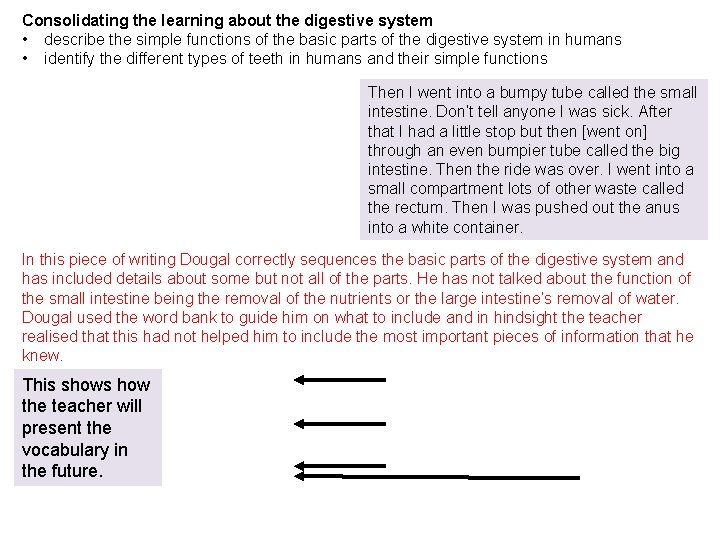 Consolidating the learning about the digestive system • describe the simple functions of the