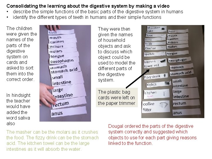 Consolidating the learning about the digestive system by making a video • describe the