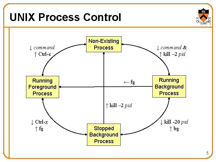 UNIX Process Control ↓ command ↑ Ctrl-c Non-Existing Process Running Foreground Process ↓ command