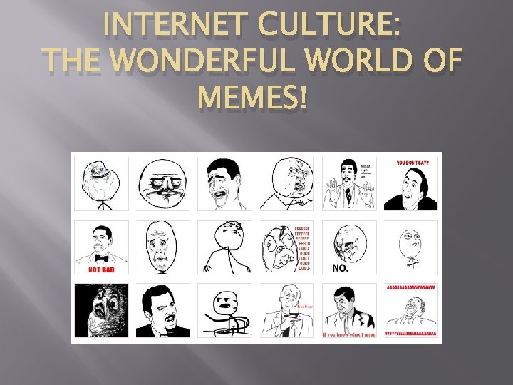 INTERNET CULTURE: THE WONDERFUL WORLD OF MEMES! 