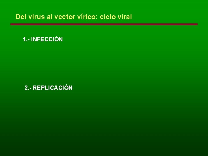 Del virus al vector vírico: ciclo viral 1. - INFECCIÓN 2. - REPLICACIÓN 