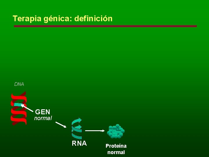 Terapia génica: definición DNA GEN normal RNA Proteína normal 