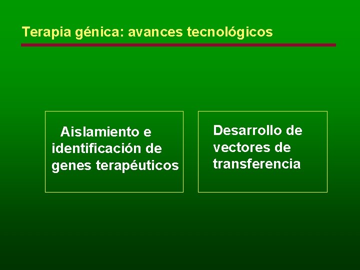 Terapia génica: avances tecnológicos Aislamiento e identificación de genes terapéuticos Desarrollo de vectores de