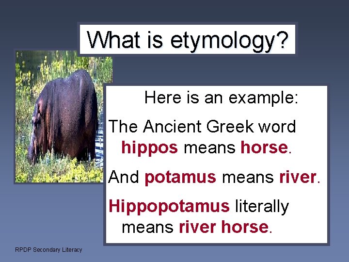 What is etymology? Here is an example: The Ancient Greek word hippos means horse.
