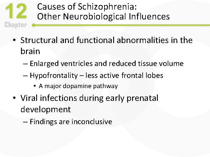 Causes of Schizophrenia: Other Neurobiological Influences • Structural and functional abnormalities in the brain