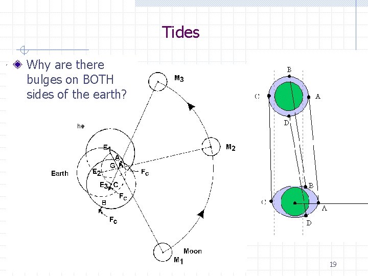 Tides Why are there bulges on BOTH sides of the earth? 19 