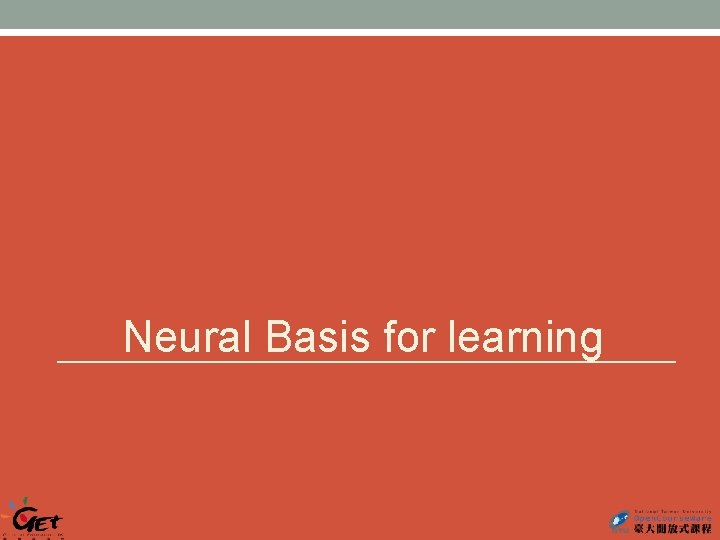 Neural Basis for learning 