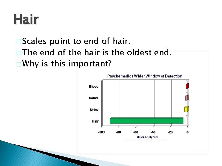 Hair � Scales point to end of hair. � The end of the hair