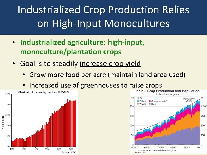Industrialized Crop Production Relies on High-Input Monocultures • Industrialized agriculture: high-input, monoculture/plantation crops •