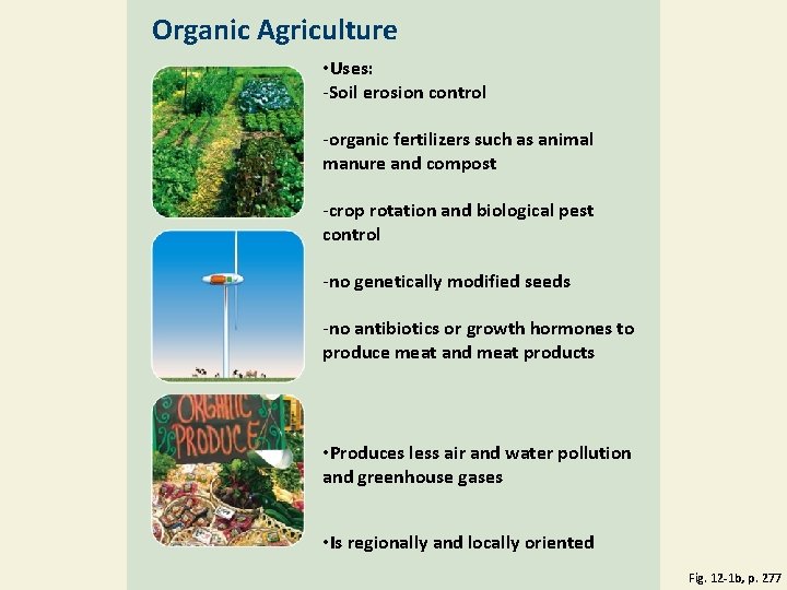 Organic Agriculture • Uses: -Soil erosion control -organic fertilizers such as animal manure and