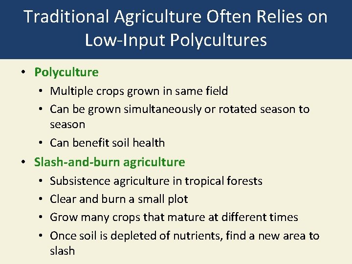 Traditional Agriculture Often Relies on Low-Input Polycultures • Polyculture • Multiple crops grown in