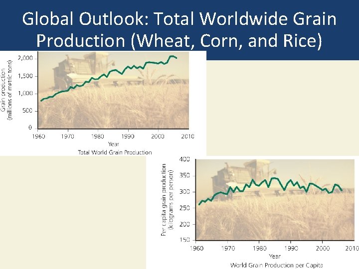 Global Outlook: Total Worldwide Grain Production (Wheat, Corn, and Rice) 
