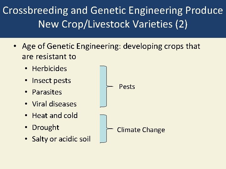 Crossbreeding and Genetic Engineering Produce New Crop/Livestock Varieties (2) • Age of Genetic Engineering: