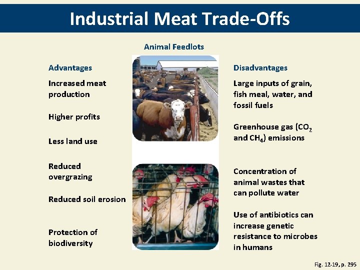 Industrial Meat Trade-Offs Animal Feedlots Advantages Disadvantages Increased meat production Large inputs of grain,
