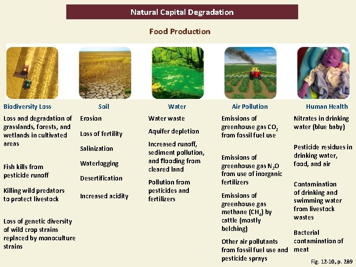 Natural Capital Degradation Food Production Biodiversity Loss and degradation of grasslands, forests, and wetlands