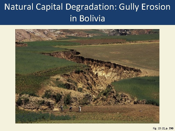 Natural Capital Degradation: Gully Erosion in Bolivia Fig. 12 -12, p. 290 
