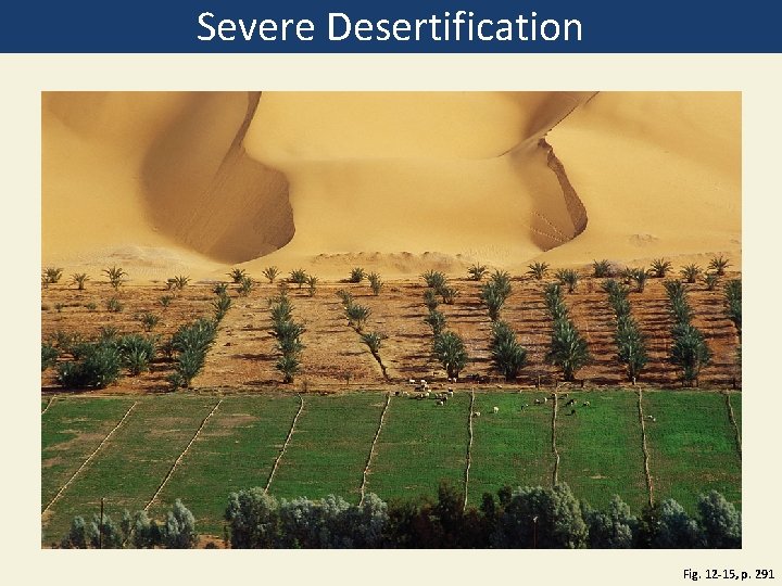 Severe Desertification Fig. 12 -15, p. 291 