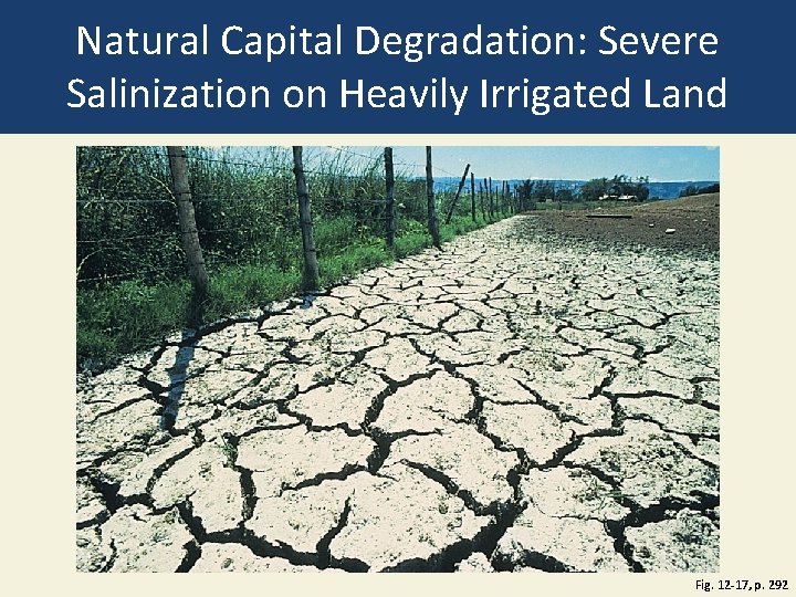 Natural Capital Degradation: Severe Salinization on Heavily Irrigated Land Fig. 12 -17, p. 292