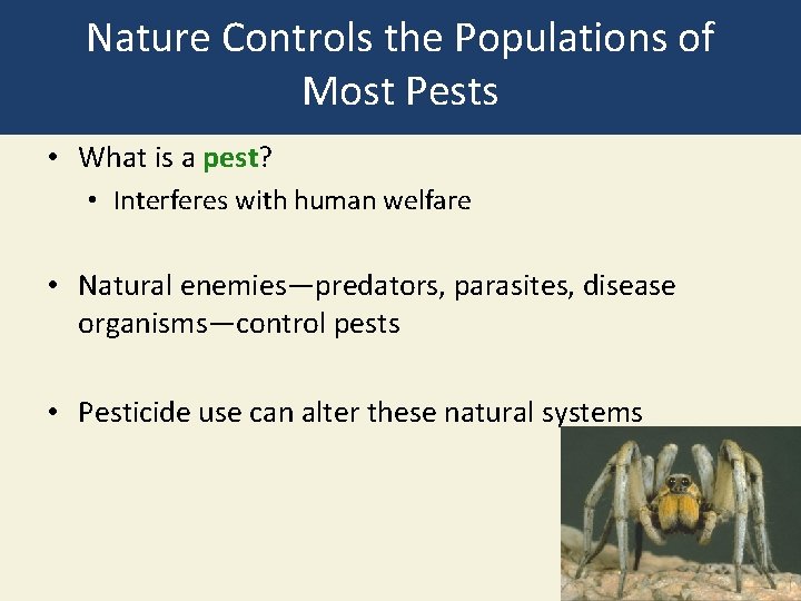 Nature Controls the Populations of Most Pests • What is a pest? • Interferes