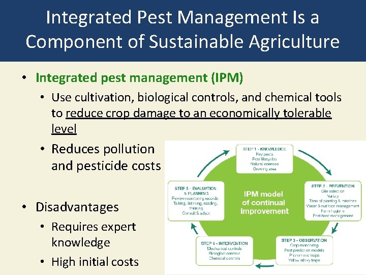 Integrated Pest Management Is a Component of Sustainable Agriculture • Integrated pest management (IPM)