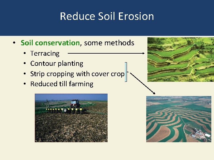Reduce Soil Erosion • Soil conservation, some methods • • Terracing Contour planting Strip