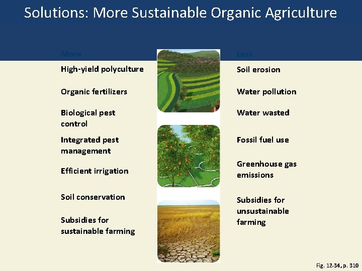 Solutions: More Sustainable Organic Agriculture More Less High-yield polyculture Soil erosion Organic fertilizers Water