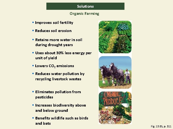 Solutions Organic Farming § Improves soil fertility § Reduces soil erosion § Retains more