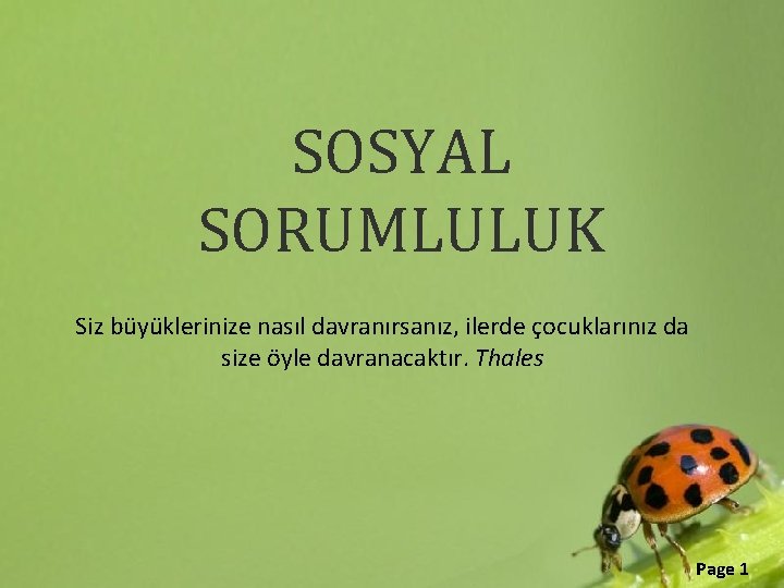 SOSYAL SORUMLULUK Siz büyüklerinize nasıl davranırsanız, ilerde çocuklarınız da size öyle davranacaktır. Thales Page