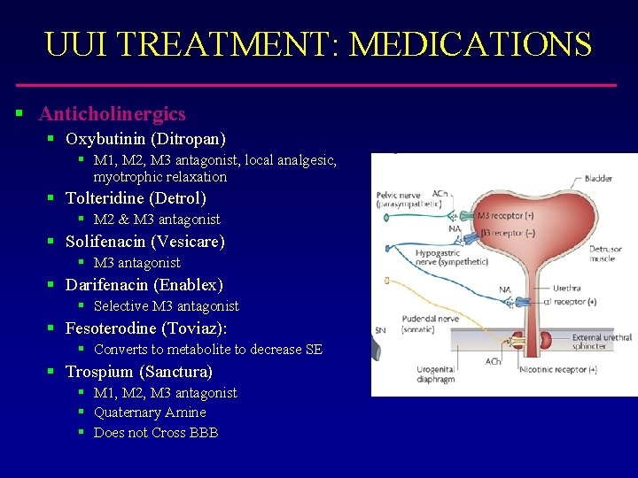 UUI TREATMENT: MEDICATIONS § Anticholinergics § Oxybutinin (Ditropan) § M 1, M 2, M