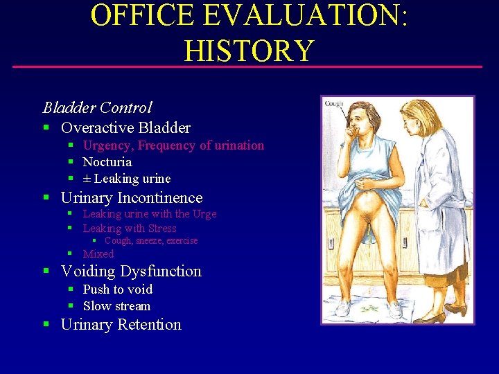 OFFICE EVALUATION: HISTORY Bladder Control § Overactive Bladder § Urgency, Frequency of urination §