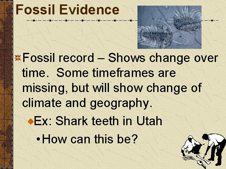 Fossil Evidence Fossil record – Shows change over time. Some timeframes are missing, but