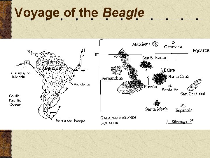 Voyage of the Beagle 