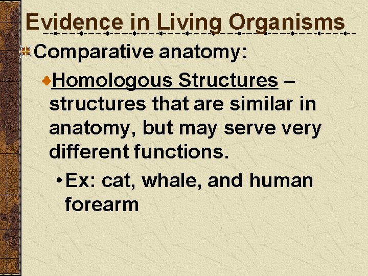 Evidence in Living Organisms Comparative anatomy: Homologous Structures – structures that are similar in