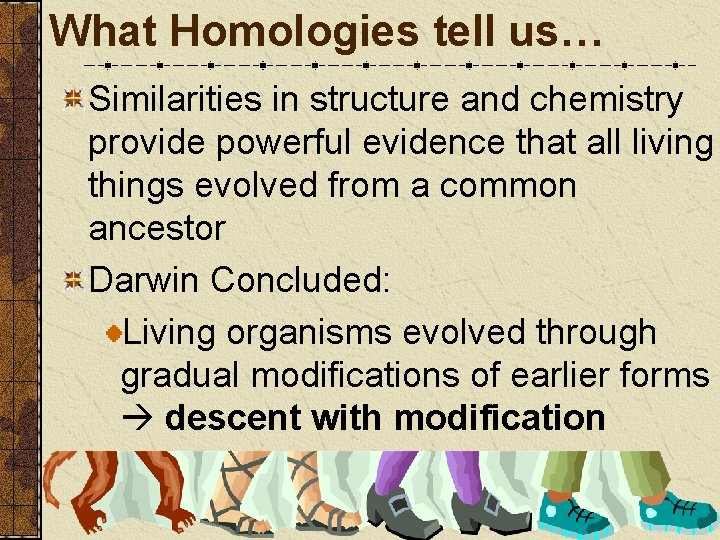 What Homologies tell us… Similarities in structure and chemistry provide powerful evidence that all