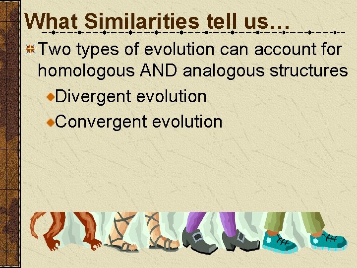 What Similarities tell us… Two types of evolution can account for homologous AND analogous