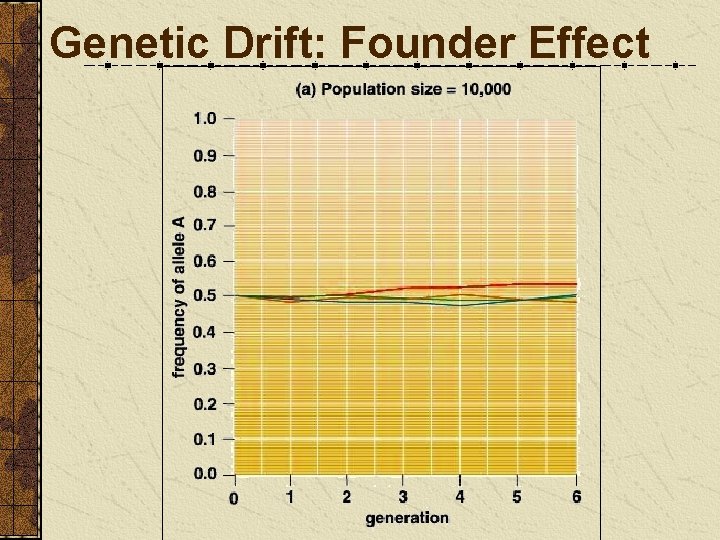 Genetic Drift: Founder Effect 