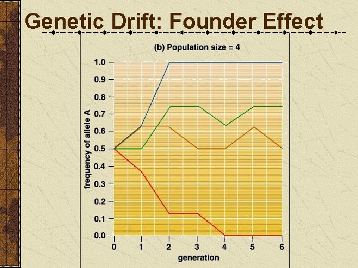 Genetic Drift: Founder Effect 