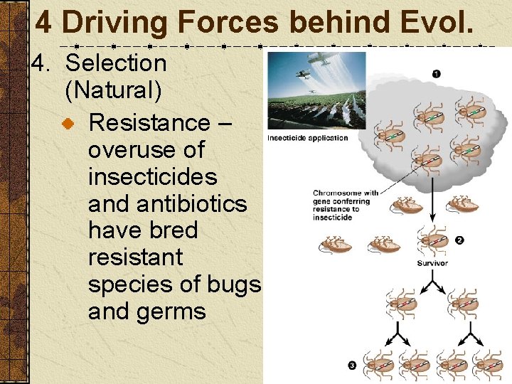 4 Driving Forces behind Evol. 4. Selection (Natural) Resistance – overuse of insecticides and