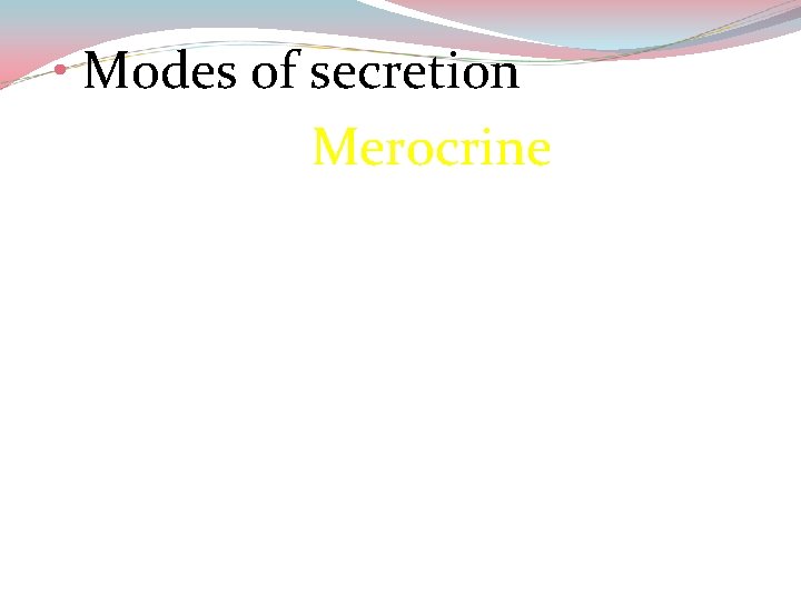 • Modes of secretion Merocrine 