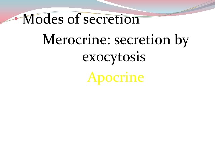  • Modes of secretion Merocrine: secretion by exocytosis Apocrine 