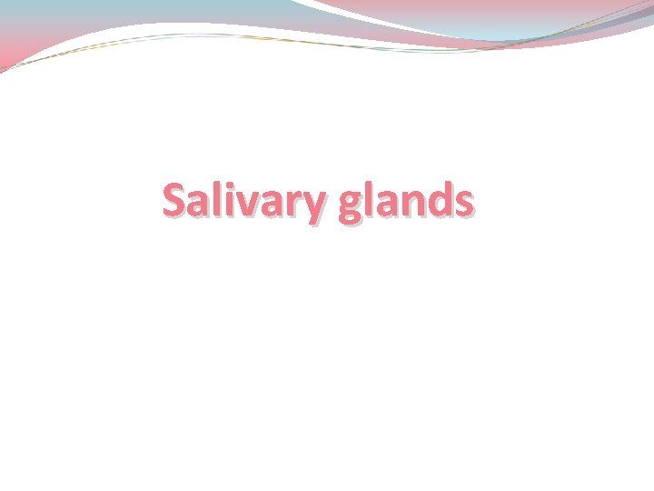 Salivary glands 