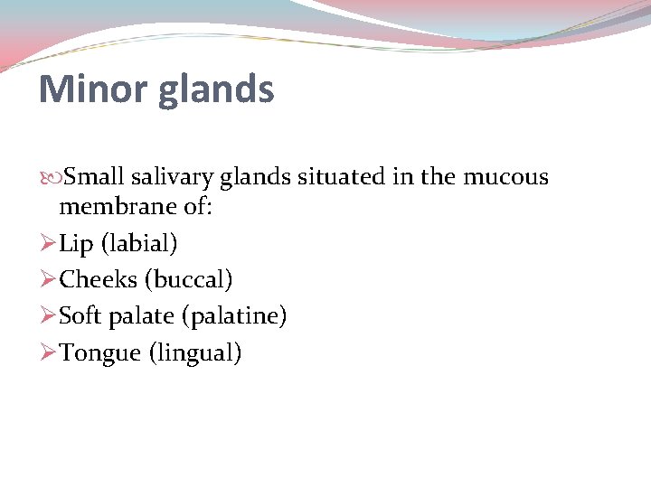 Minor glands Small salivary glands situated in the mucous membrane of: ØLip (labial) ØCheeks Minor glands Small salivary glands situated in the mucous membrane of: ØLip (labial) ØCheeks