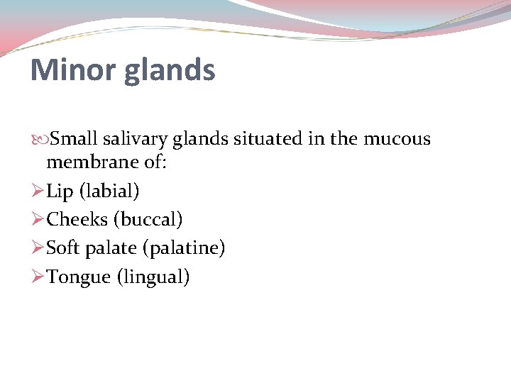 Minor glands Small salivary glands situated in the mucous membrane of: ØLip (labial) ØCheeks